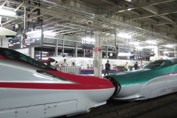 <p>รถไฟ Hayabusa และ Super Komachi ที่สถานี Sendai ประตูสู่โทโฮกุ</p>