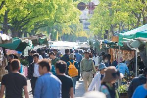 10 Hal Terbaik di Prefektur Kochi