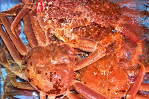 On trouve du crabe dans de très nombreux restaurants de Matsue pendant la saison hivernale. Bouilli, grillé, cru... il y en a pour tous les goûts.