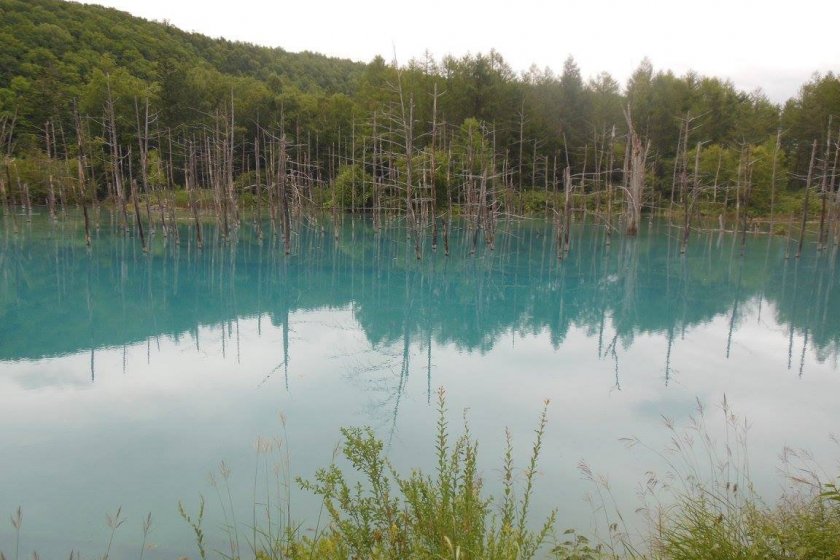 Lac bleu de Biei