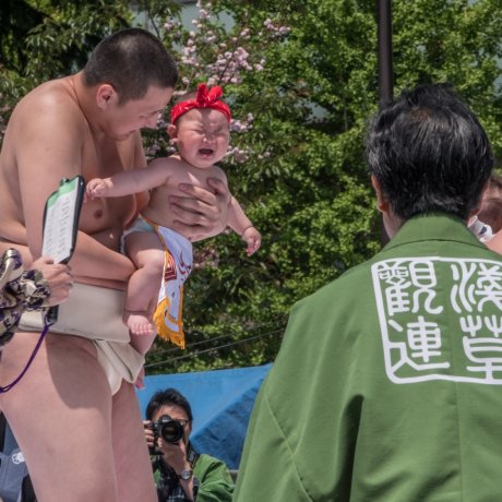 Nakizumo Crying Baby Festival