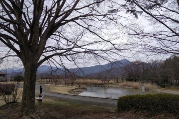 War and Peace In Nagano