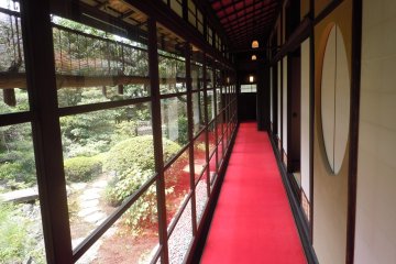 The beautiful Japanese garden from the corridor