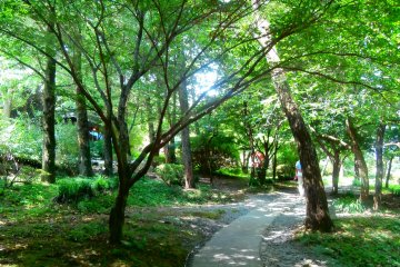 <p>The trees provide&nbsp;pleasant shade and let&nbsp;in the nice and cool breeze</p>