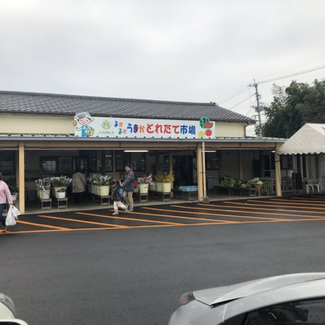 Kamimashiki Produce Market