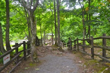 The path from the parking lot to the viewpoint