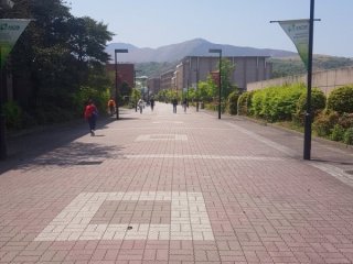 Khu vực đi bộ tuyệt đẹp vòng quanh sân trường 