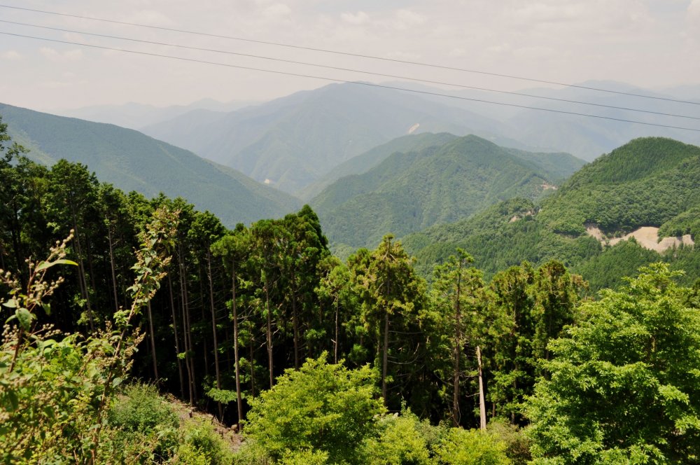 Tầm nhìn từ bãi xe với độ cao 1076 mét trên mực nước biển trên núi Tamaki