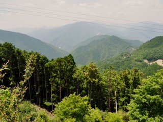 Tầm nhìn từ bãi xe với độ cao 1076 mét trên mực nước biển trên núi Tamaki