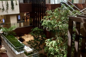 Light and greenery in the atrium