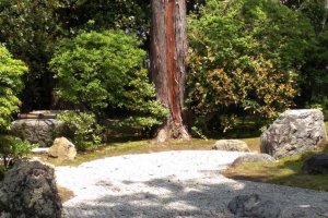 A real zen garden