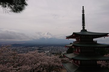 Road Trippin' Japan (Part Three)