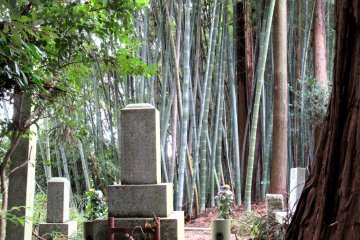 Cemeteries are often surrounded by forests