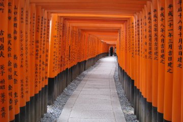 The famous torii of Fushimi Inari