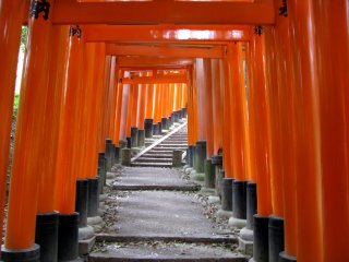 Torii of Fushimi Inari Taisha