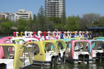 Swan boats waiting to be ridden in Shinobazu Pond, Ueno Park