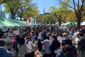 Growing numbers of Japanese own dogs, and many pet owners turned out – with their canine mates – for the Yoyogi Park Wan Wan Carnival