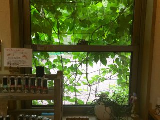 Soothing green vines outside the window. Inside, toxic-free nail polish in all colors. 