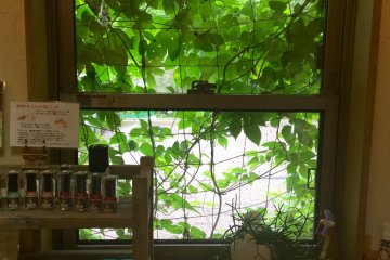Soothing green vines outside the window. Inside, toxic-free nail polish in all colors. 