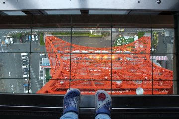 The glass floor area on the floor is a bit scary to stand on