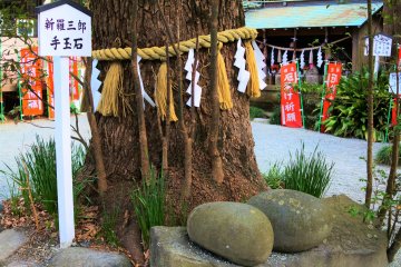 Shinrasaburo stones at the shrine