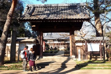 Gate leading to the temple and shrine grounds