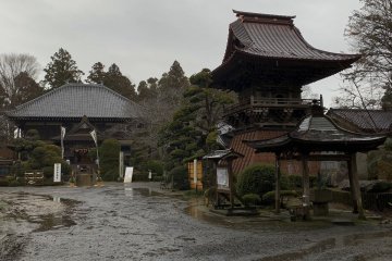 The illustrious Nichihonji Temple in the rain