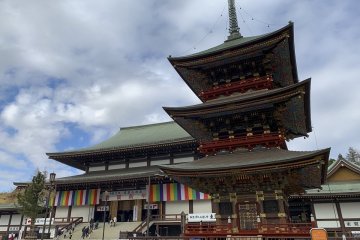 Narita Shinshoji's main building and pagoda