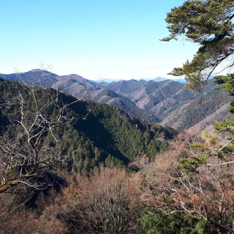 A Visit to Mt. Takao