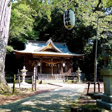 Đền Shuzen-ji Hie Jinja 