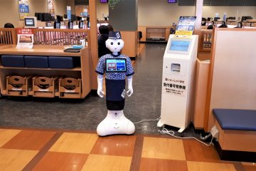 Robot greeting
