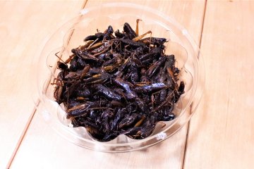 A mass of dark insects that taste quite sweet