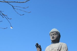 Гигантская статуя Амида Будды и сакура, цветущая в конце октября