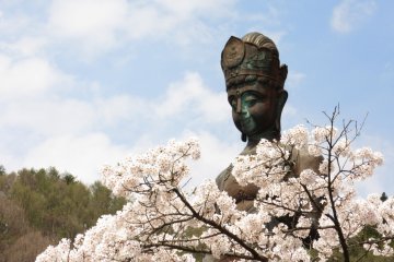 Статуя Каннон и сакура