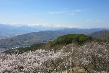 An exciting mountain view and spring mood in the air