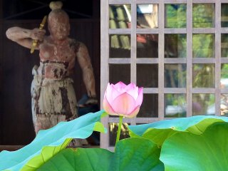 堂内の金剛力士像と蓮の花