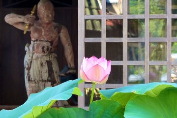 Lotus flower and a guardian statue