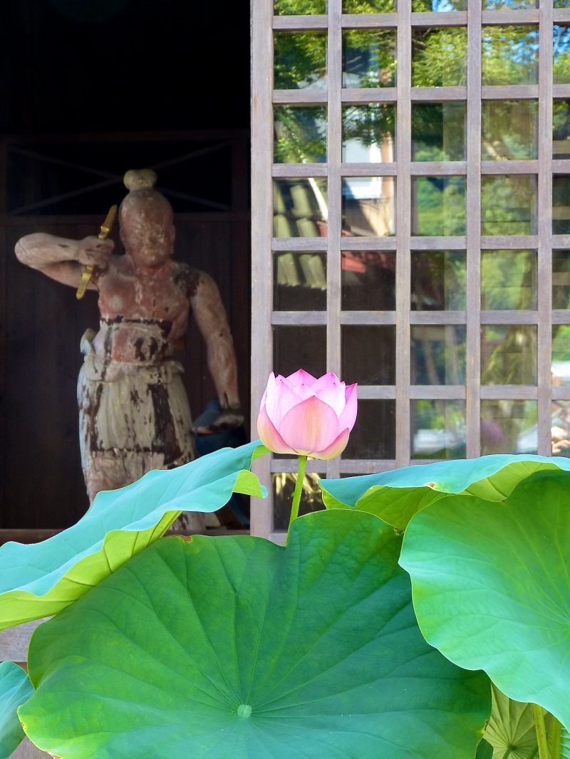Цветок лотоса и статуя хранителя