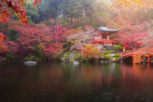 Warna musim gugur di Benten Pond, Daigo-ji Temple