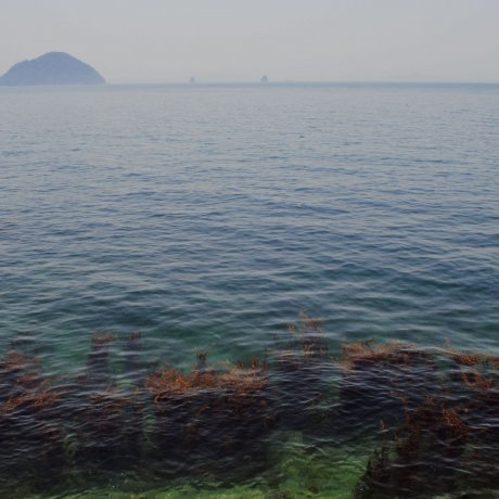 Bờ biển Matsuyama