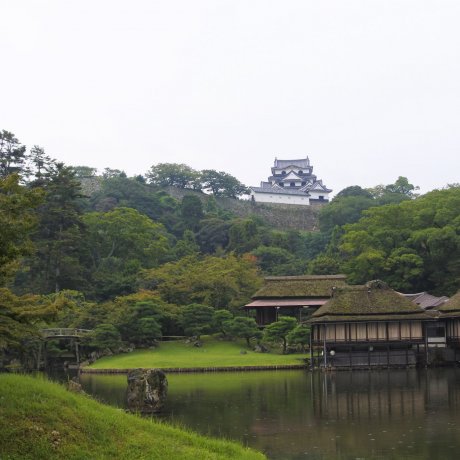 Genkyuen Garden at Hikone Castle