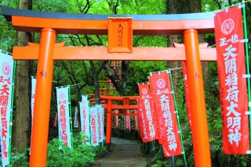 Torii gates of Tenkai Inari Daimyojin Shrine