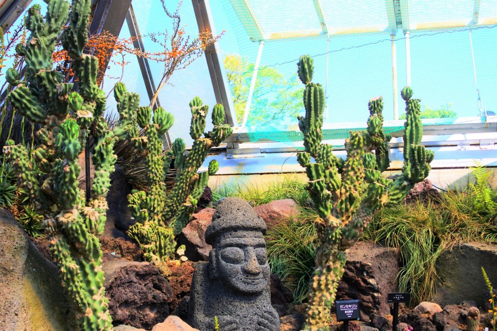 The scenery of the greenhouse area