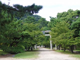 志都岐山神社の鳥居