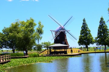 The windmill 