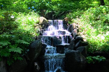 The white lily waterfall
