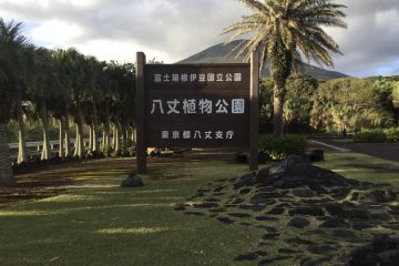 Hachijo Botanical Park