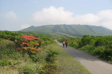 Mt. Mihara, home to the cherry tree stump