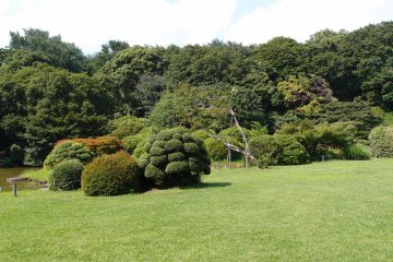 Koishikawa Botanical Garden, Bunkyo Ward