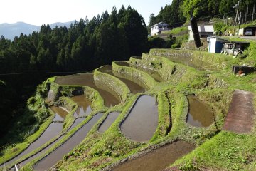It must be quite difficult to maintain these rice paddies. 